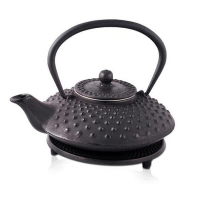 Fuyu Black Iron Teapot 600ml