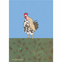 Koi Sisters - Rooster - A3 print