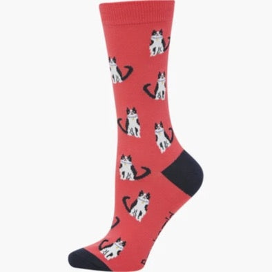 Bamboozld Sock - Womens CAT LADY BAMBOO SOCK MELON/W2-8