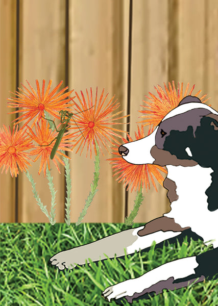 Koi Sisters Card - Urban 5, dog, praying mantis on orange daisies