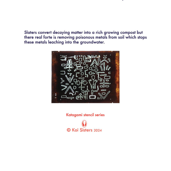 Koi Sisters Card - Slater