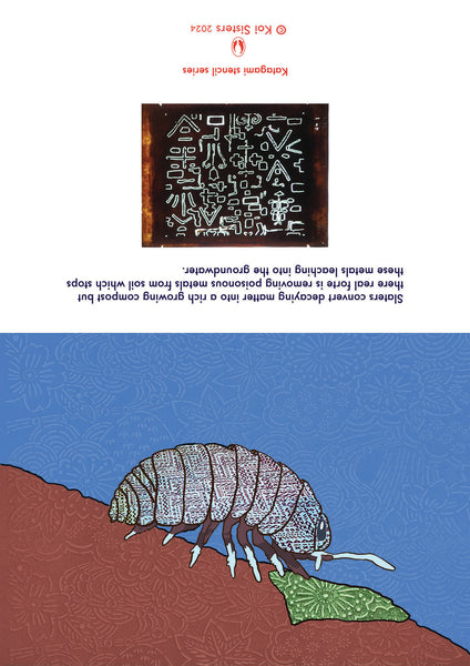 Koi Sisters Card - Slater