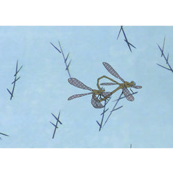 Koi Sisters Card - Dragonflies Blue