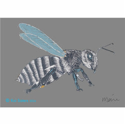 Koi Sisters - Grey Bee - A3 print