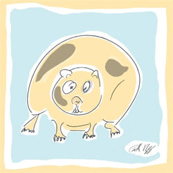 Koi Sisters Card - Guinea Pig