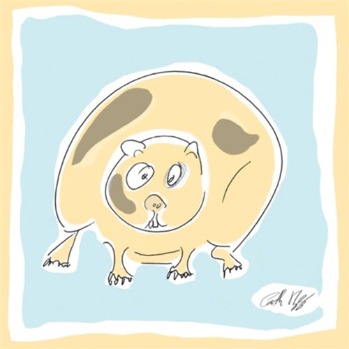 Koi Sisters Card - Guinea Pig