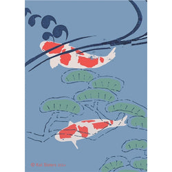 Koi Sisters - Blue Koi Close Up - A3 print