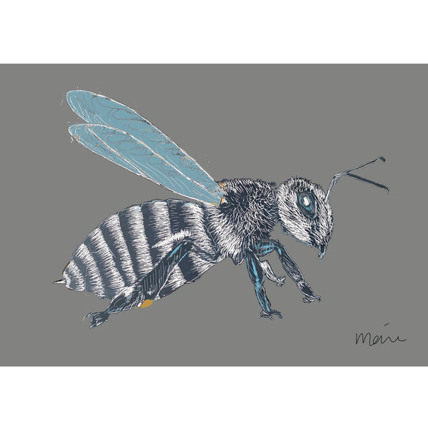 Koi Sisters Card - Grey Bee