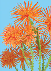 Koi Sisters Card - Orange Daisies & Praying Mantis