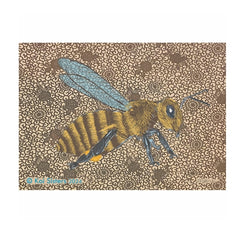 Koi Sisters - Brown Bee -A3 Print