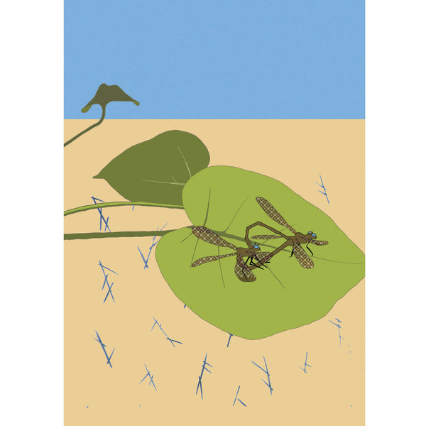 Koi Sisters Card - Dragonflies on Lotus Leaf