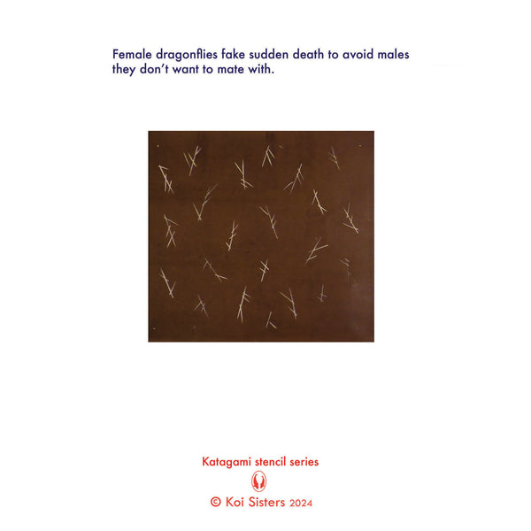 Koi Sisters Card - Dragonflies on Lotus Leaf