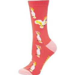 Bamboozld Sock - Womens Cockatoo Size 2-8