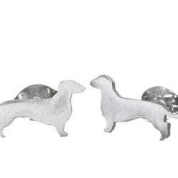 Shabana Jacobson - Dachshund Studs