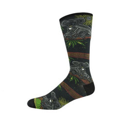 Bamboozld Sock - Mens Indigenous Australian Koala Size 7-11
