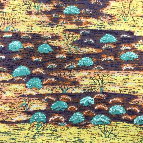 Canteen Creek Face Mask