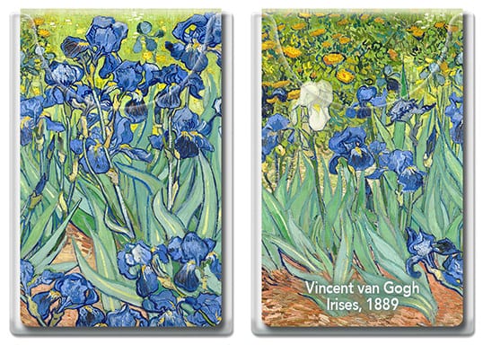 Microfibre Pocket - Irises